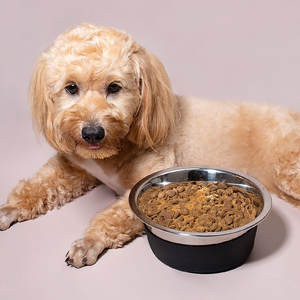 Fornecedor de Produtos para Animais de Estimação Tigela de Água para Cães em Aço Inoxidável com Base de Sucção de Silicone Grande e Antiderrapante 1L 1.8L - Product Image 2