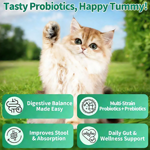 Suplemento Probiótico para Mascotas OEM/ODM, Refuerza la Inmunidad en Mascotas, Promueve la Salud Intestinal, Suplemento <span class=keywords><strong>y</strong></span> Vitaminas para la Salud de las Mascotas - Product Image 4