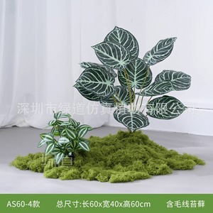 Plantes Artificielles Greenway : Fleurs de Base 30cm-100cm, Décorations Style Campagnard en Moulage par Injection Simulé - Product Image 5