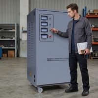 Stabilisateur/Régulateur de tension triphasé automatique 40 kVA personnalisé OEM/ODM SVC VOLTIQUE 50/60 Hz avec écran LCD, prix usine, 380 V pour