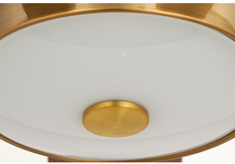 Breeze.lux Hot sale house decorative modern ceiling with fan