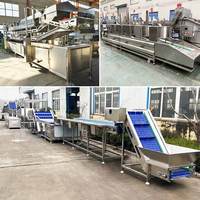Ligne de production entièrement automatique de frites surgelées, de pommes de terre et de produits à base de dinde, machine à fabriquer des chips de pommes de terre, prix