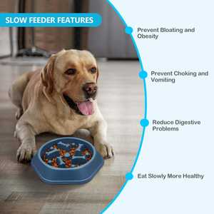 Hot Sales Non Slip Anti Gulping Anti-Choking <b>Puzzle</b> Maze Healthy Eating Stop Bloat Pet Dog Food Feeding Slow Feeder Bowl Dishes - Product Image 6