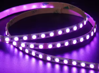 Bande LED RGB d'usine de Shenzhen, haute densité, DC24V, 120 LED, garantie de 5 ans