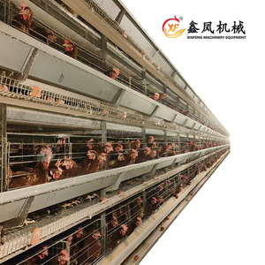 Nouvelle cage à batterie <span class=keywords><strong>de</strong></span> type H durable, best-seller, pour l'élevage <span class=keywords><strong>de</strong></span> 160 poules pondeuses dans une ferme avicole en Thaïlande - Product Image 1