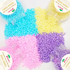 Rayshine Clothes Cleaning Laundry Scent Booster Beads Ocean Fragrance 100g