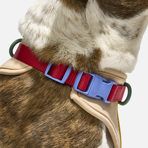 Harnais pour chien et chat BOBO&YOYO, nouveau design tendance, personnalisable avec logo, luxe, respirant, en polyester solide, avec boucle. - Product Image 5