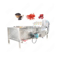 Automatische Groentewasmachine Commerciële Groente-En Fruitwasmachine Grote Groentewasmachine