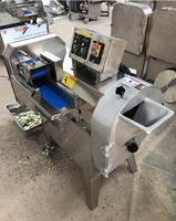 Industriële gemotoriseerde automatische groente- en fruitblokjes snijmachine van roestvrij staal 304 met 110V/220V/380V