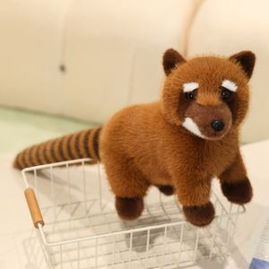 Penjualan laris mainan mewah rakun Amerika Selatan boneka binatang binatang kebun binatang mainan hewan rakun realistis lembut hewan - Product Image 3