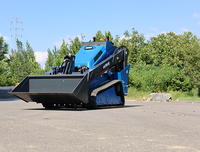 Chargeuse compacte sur chenilles Rippa Rs06 Pro Mini diesel, engin de terrassement, machine forestière 4x4, conforme EPA Euro 5