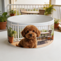 Gamelle en céramique élégante pour animaux de compagnie, en porcelaine, 15 cm, 18 cm, lourde, antidérapante, blanche, pour chien et chat