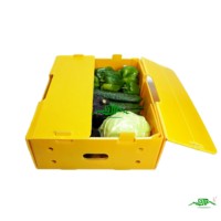 Waterdichte gegolfde PP kunststof holle plaat transportbox voor vis, groenten en logistiek, SGS gecertificeerd, 2-12mm