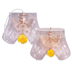 Modèle transparent de cathétérisme féminin ; modèle d'opération pour stage d'entraînement en soins infirmiers hospitaliers ; cathétérisme masculin ; reproduction masculine - Product Image 1