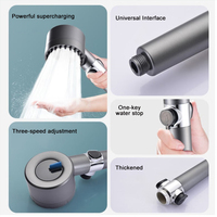 Puissant pommeau de douche à main à motif de pluie avec filtre à ions négatifs Surface brossée robinet de bain pulvérisateur de Massage pour salle de bain