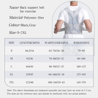 Ceinture de Soutien Dorsal Ajustable en Maille Respirante pour la Correction de la Posture – Vente en Gros Usine pour le Sport et le Quotidien