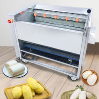 Industriële gember-aardappel-cassave-wortelen-radijs-wasser-schiller-groentewasmachine