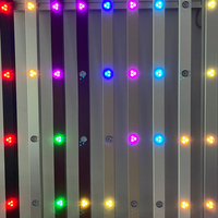 Twinklight extérieur maison lumière décoration coloré maison paysage extérieur ip68 couleur unique 12v dmx led pixel point lumière