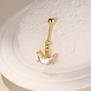 Moda 18K chapado en oro S925 plata Vertical arco borla cadena <span class=keywords><strong>Funky</strong></span> Stud pendientes con completo CZ Piercings 10 unids/set joyería del cuerpo - Product Image 3