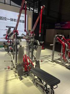 Appareil de musculation professionnel à charge libre pour Lat Pulldown et Rame longue, idéal pour la musculation du dos en salle de sport et centres de fitness - Product Image 2