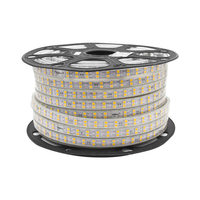 Vente en gros 100ft 220V LED bande corde lumières extérieur étanche décoratif blanc chaud blanc avec interrupteur de télécommande