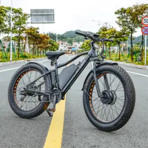 13Ah 1000 e-bisiklet kar plaj dağ Ebike ile yağ lastik elektrikli bisiklet 48V iri tekerli elektrikli bisiklet W Motor taşınabilir pil