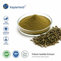 Extrait d'Isatis Indigotica 10:1 Feuille d'Isatidis TLC Stimulant Immunitaire Naturel Antiviral Soutien Respiratoire OEM