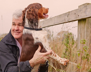 Collar con Feromonas Calmantes para Perros Medianos/Grandes, Calma y Conforta a los Perros Durante el Entrenamiento, Estancias, Ruidos Fuertes y Miedos al Aire Libre - Product Image 3