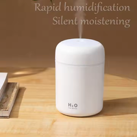 Humidificateur d'air électrique portable 300 ml, diffuseur d'huiles essentielles, vaporisateur à brume froide USB avec lumière nocturne colorée pour la maison et la voiture