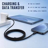 Kabel USB-C Tipe-C Male to Male Braided Pure Copper PVC 1m 6A 60W untuk Pengisian Cepat Ponsel & Kamera & Komputer
