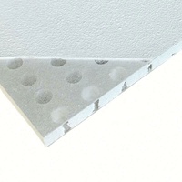 Système acoustique monolithique en plâtre, aspect de plafond sans joint, murs insonorisants, panneaux perforés