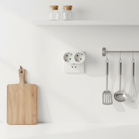 Adaptateur Répartiteur de Prise Européenne Paramount 2 Sorties Schuko 16A 250V IP20 pour Hub Domotique et Usage Hospitalier
