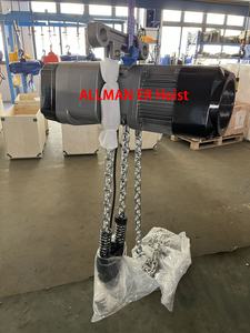 Palans électriques <span class=keywords><strong>ALLMAN</strong></span> avec variateur de vitesse ER2, palan à chaîne électrique 1 tonne, 2 tonnes, 3 tonnes, 5 tonnes, 2 vitesses, nouveau produit fourni, jaune, une unité - Product Image 5