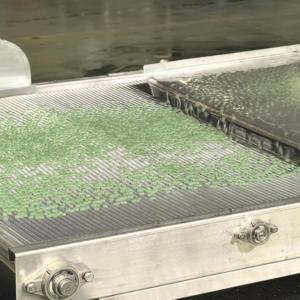Machine à fabriquer des billes de jus aux saveurs de fruits colorées, machine à fabriquer des perles de boba éclatantes, machine à remplir des billes de jus, gelée de <span class=keywords><strong>konnyaku</strong></span> - Product Image 2