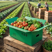 Caisse en plastique empilable, emboîtable et pliable, robuste et recyclable, conforme aux normes européennes PPWR, pour la logistique des semis agricoles