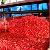 Automatische Fabrieksprijs Tomatenpuree Jam Sap Ketchup Saus Productielijn Voor Het Maken Van Verpakkingsmachine-Apparatuur