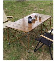 Table de camping pliable moderne en aluminium léger SOLOMAN pour 4 personnes, couleur argent, pour pique-niques et activités de plein air