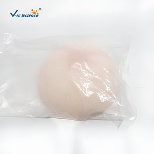 Modèle <span class=keywords><strong>de</strong></span> <span class=keywords><strong>sein</strong></span> féminin en silicone grandeur nature avec base pour la formation des consultants en lactation CE ISO ROHS CNAS - Product Image 5