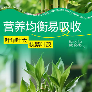 Solution nutritive liquide pour plantes de jardinage pour débutants, pour des feuilles vertes éclatantes et une plantation luxuriante - Product Image 4