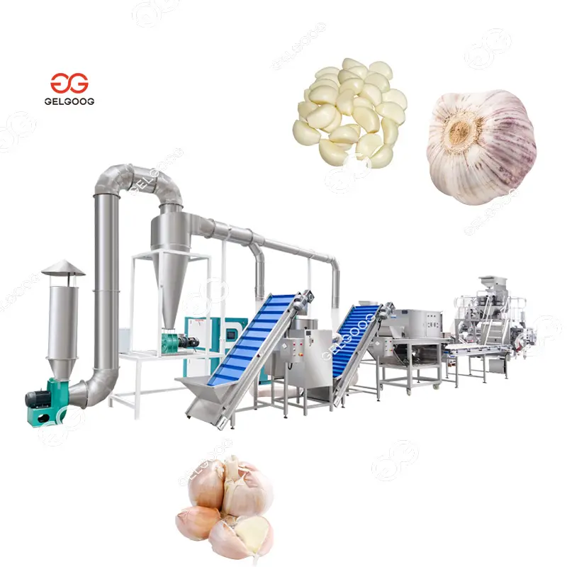 Gelgoog Fresh Garlic Peeler Cutting Processing Line Peeled Garlic Production Line Processing Of Garlic