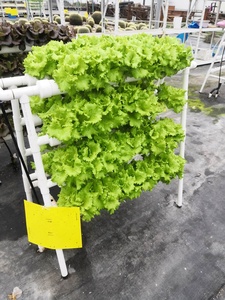 Système hydroponique NFT avec pompe, kits de 72 trous, système de culture hydroponique vertical, tube en PVC de qualité alimentaire, culture de plantes et de légumes d'intérieur - Product Image 4