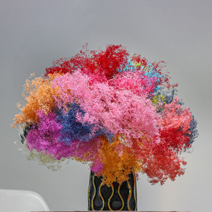 Décoration d'événements de mariage : Fleurs éternelles Gypsophila naturelles préservées, fleurs étoiles du rêve, fleurs étoiles du million réelles préservées en gros - Product Image 4
