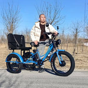 Vélo électrique hybride à trois roues avec moteur arrière sans balais de 750 W, 24 pouces, en stock, deux sièges, autonomie de 60 km, <span class=keywords><strong>pour</strong></span> personnes âgées et enfants, prix - Product Image 2