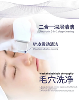 Nouvelle machine de beauté faciale portable 11-en-1 pour oxygénation, thérapie CO2, dôme facial à oxygène et peeling jet.