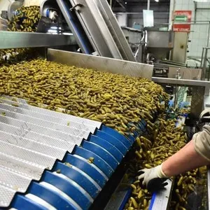 Nieuwe Automatische Augurkverwerkingslijn Voor Het Inblikken Van De Productie Van Ingelegde Komkommer Omvat Mixer Friteuse Wasmachine Pasteurisator