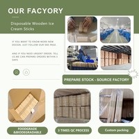 Bâtonnets de crème glacée en bois imprimés sur mesure, bâtonnets de sucettes glacées jetables, bâtonnets de crème glacée écologiques pour desserts, crème glacée OEM