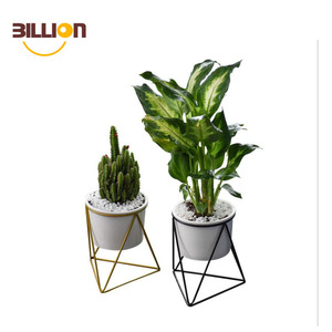 Norte del triángulo simple carne Marco de hierro <span class=keywords><strong>maceta</strong></span> geométrica verde cerámica planta <span class=keywords><strong>maceta</strong></span> set - Product Image 1