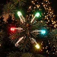 Lumière LED étanche pour ballon, petite ampoule ronde à visser de type balle, alimentée par piles, pour la décoration de fêtes de Noël