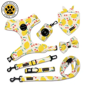 SinSky Training Custom Yellow Lemon Pattern Weiches Haustier No Pull Verstellbares Luxus-Hundefreundlichkeits-Set Lease-Set und Halsband