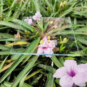 <span class=keywords><strong>Verre</strong></span> <span class=keywords><strong>anti</strong></span>-<span class=keywords><strong>reflet</strong></span> de qualité supérieure 2 mm (<span class=keywords><strong>verre</strong></span> AR) pour <span class=keywords><strong>cadre</strong></span> <span class=keywords><strong>photo</strong></span> - Product Image 3